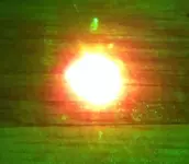IMAG0087.webp