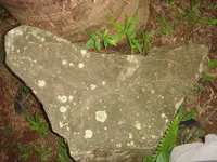 DSC00674.webp