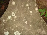 DSC00673.webp
