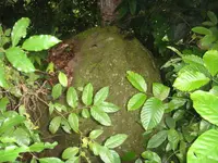 DSC00672.webp