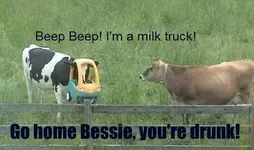cowss.webp
