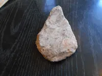 DSCN0654.webp