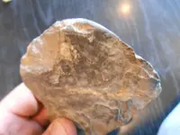 DSCN0658.webp