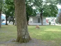 DSCF0018.webp