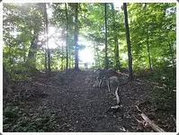 Cornell Campbell Farm 005.webp