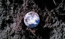 IMAG0506.webp