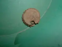DSCF0005(2).webp