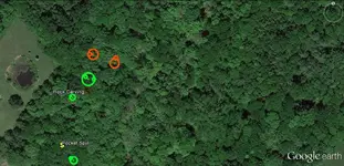 Rock Carvings-DocBeav.webp
