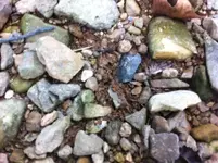 photo (3).webp photo (3).webp