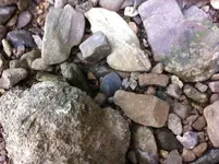 photo (4).webp photo (4).webp