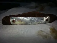 Mother of Pearl Knife from Park.webp