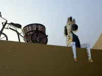 donkey.webp
