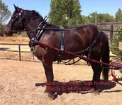 1aba.webp