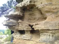 image-1463043524.webp