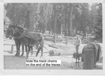 pulling log.webp