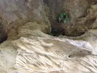 image-583225251.webp
