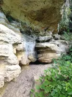 image-1846997422.webp