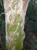 image-71455564.webp