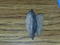 20130719_193925.webp 20130719_193925.webp