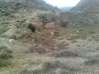 1 (7).webp