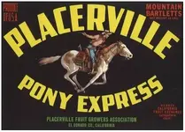 pville pony express.webp