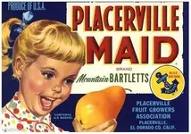 pmaid brtletts.webp