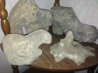 image-4002255722.webp