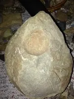 image-784356573.webp