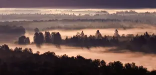 panorama-125l.webp