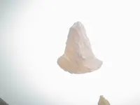 first artifact 002.webp first artifact 002.webp