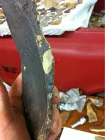image-1408924779.webp
