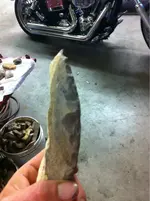 image-1173137660.webp