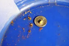 gold 8-20 001.webp