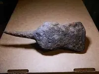 axe 001.webp