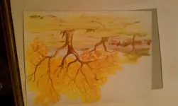 IMAG0300.webp