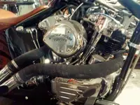 rat bike & rod 4.webp