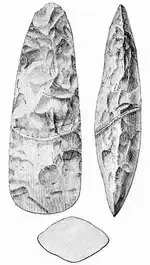 300px-PSM_V02_D360_Polished_celts.webp