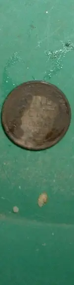 DSCF0023.webp