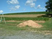 DSCF0017.webp