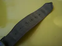 compass 4.webp