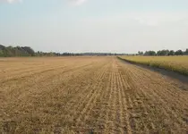 DSCN2229.webp