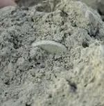 DSCN2235.webp