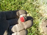 100_1010.webp