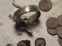 BLINGIES_RING.webp BLINGIES_RING.webp