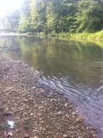 image-364409664.webp