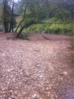 image-3081555902.webp