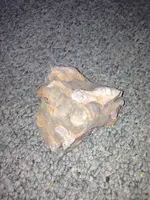 image-4155438096.webp