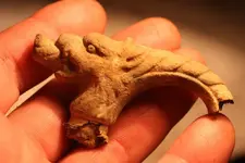 NH FINDS 07-22-2013 078.webp