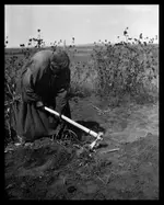 0086-0316-Hoeing-cor.webp 0086-0316-Hoeing-cor.webp