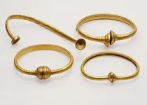 Field teeming with Bronze Age gold rings  ScienceNordic.webp